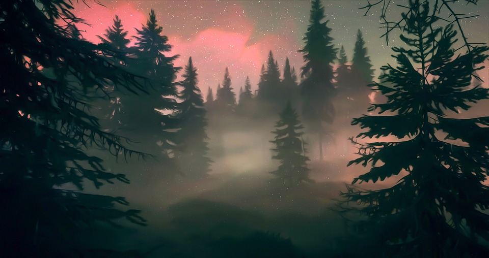 Exploring the Possibilities of the Metaverse